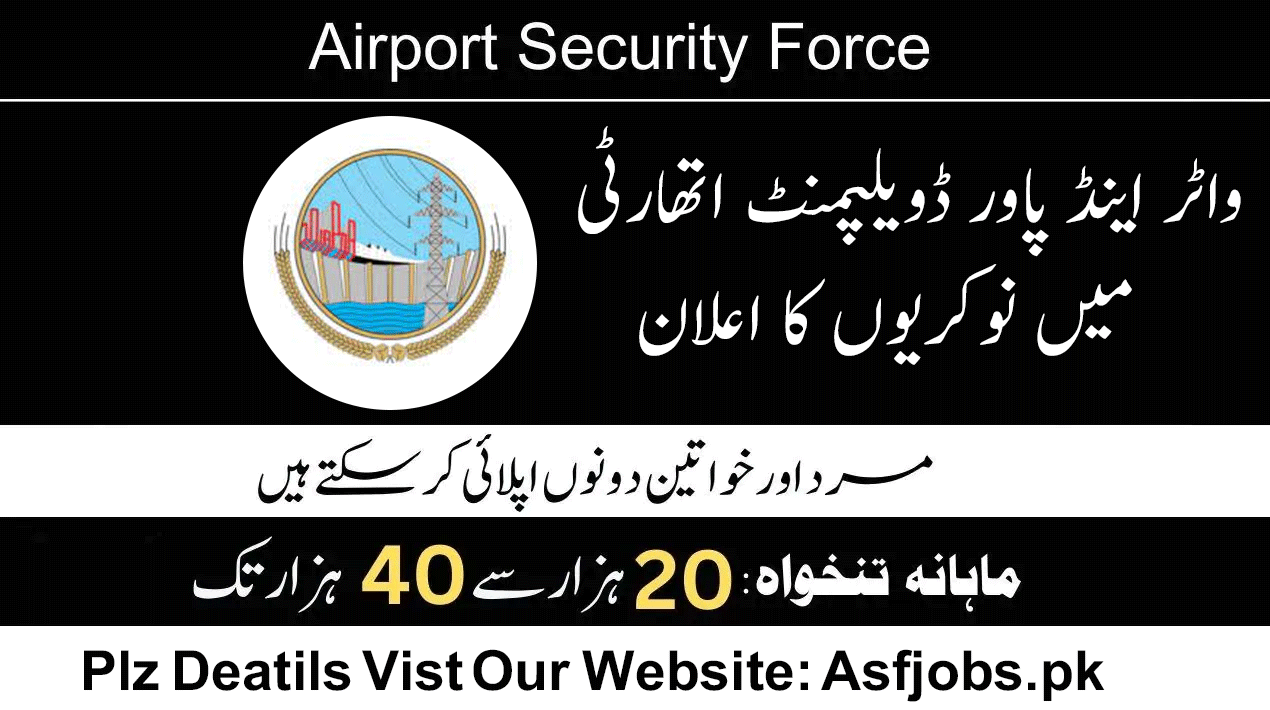 Wapda Internship Program